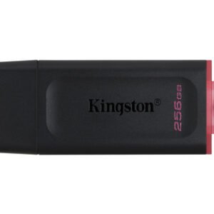 Kingston DataTraveler DTX 256GB USB 3.2 Gen1 Negro