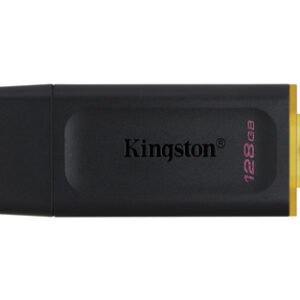 Kingston DataTraveler DTX 128GB USB 3.2 Gen1 Negro